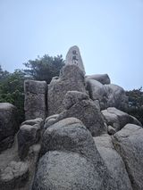 제주농부님의 자유주제·자유게시판 작성글 사진