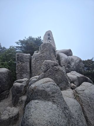 제주농부님의 자유주제 · 자유게시판 작성글 사진