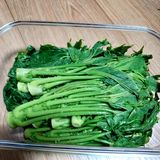 비옥토님의 자유주제·자유게시판 작성글 사진