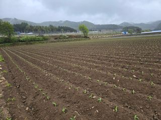 장관덕님의 자유주제 · 자유게시판 작성글 사진