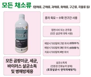 비옥토님의 자유주제 · 자유게시판 작성글 사진
