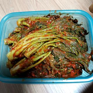 비옥토님의 자유주제 · 자유게시판 작성글 사진