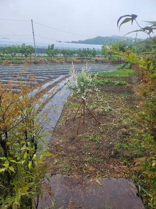 신득경님의 자유주제 · 자유게시판 작성글 사진