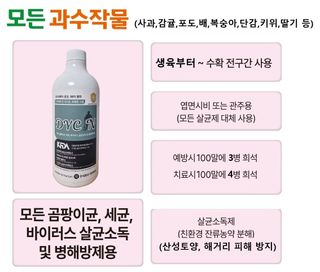비옥토님의 자유주제 · 자유게시판 작성글 사진