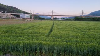최한섭님의 자유주제·자유게시판 작성글 사진