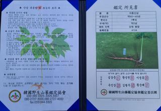 가장맛있는사과님의 자유주제 · 자유게시판 작성글 사진