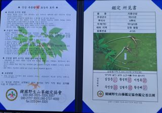 가장맛있는사과님의 자유주제 · 자유게시판 작성글 사진