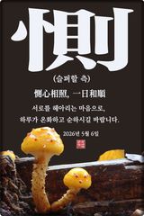 팜모닝 자유주제·자유게시판 게시글 이미지