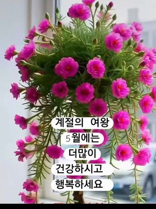안길원님의 자유주제 · 자유게시판 작성글 사진