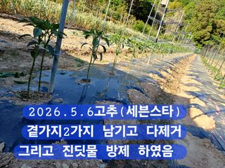 박성민님의 자유주제 · 자유게시판 작성글 사진