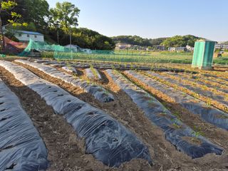 Kns4324님의 자유주제 · 자유게시판 작성글 사진