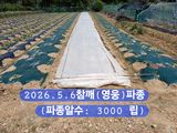 박성민님의 자유주제·자유게시판 작성글 사진