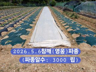 박성민님의 자유주제 · 자유게시판 작성글 사진