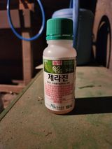 팜모닝 자유주제·자유게시판 게시글 이미지