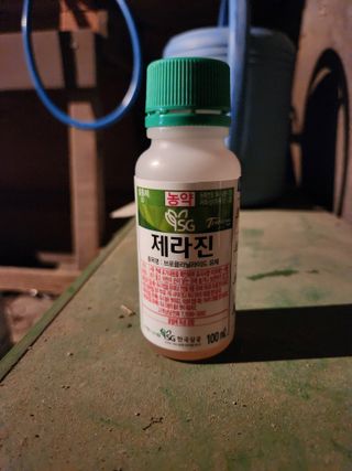 이대석님의 자유주제·자유게시판 작성글 사진