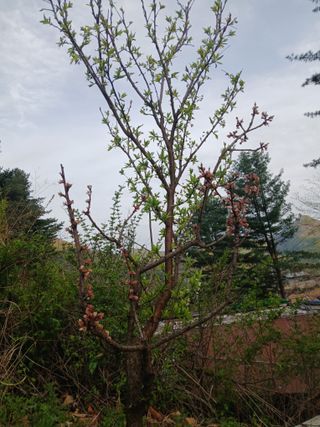 인생은 소풍처럼~님의 자유주제 · 자유게시판 작성글 사진