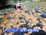 팜모닝 자유주제·자유게시판 게시글 이미지