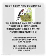 Kns4324님의 자유주제·자유게시판 작성글 사진
