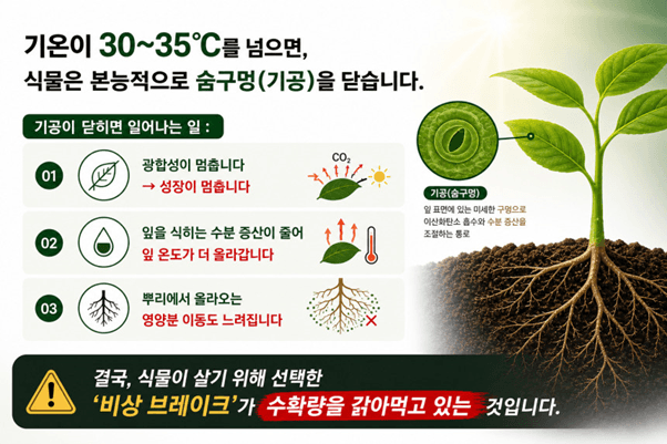 오호Ohoo님의 장터 판매 상품 [오호바이오 헬스p 500g] 첨부 사진