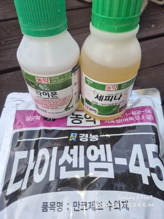동우농장(김대욱)님의 복숭아 · 자유게시판 작성글 사진