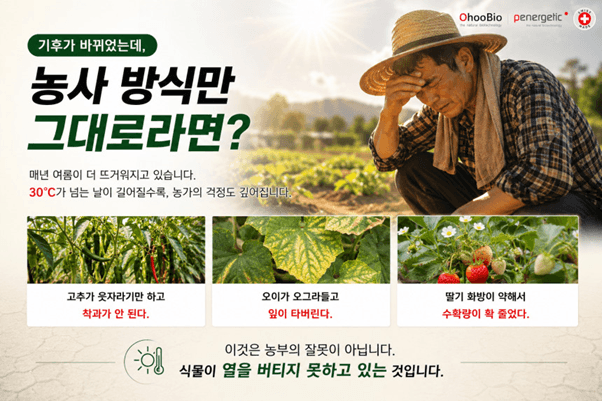 오호Ohoo님의 장터 판매 상품 [오호바이오 헬스p 500g] 첨부 사진