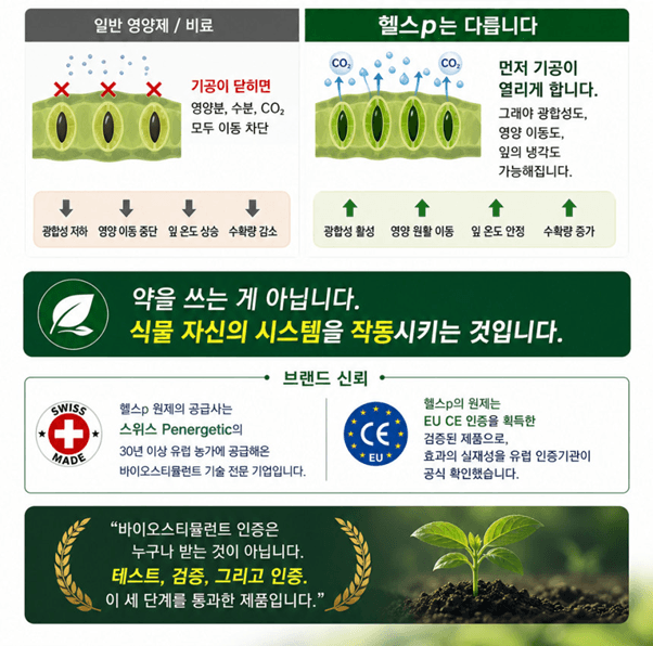 오호Ohoo님의 장터 판매 상품 [오호바이오 헬스p 500g] 첨부 사진