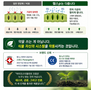 오호Ohoo님의 작성글 사진