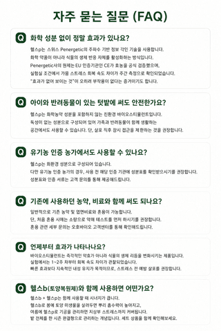 오호Ohoo님의 작성글 사진