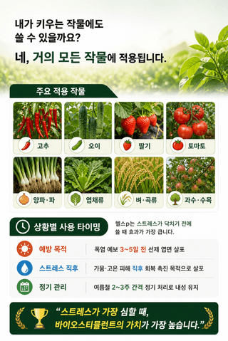 오호Ohoo님의 작성글 사진