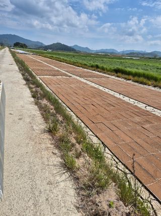 김영진(전남영광)님의 자유주제 · 자유게시판 작성글 사진