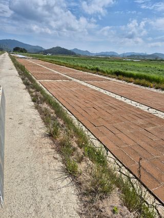 김영진(전남영광)님의 자유주제 · 자유게시판 작성글 사진