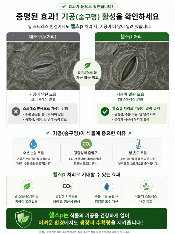 오호Ohoo님의 장터 판매 상품 [오호바이오 헬스p 500g] 첨부 사진