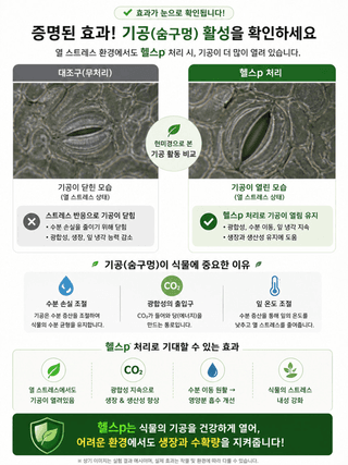오호Ohoo님의 작성글 사진