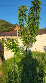김영관님의 자유주제·자유게시판 작성글 사진