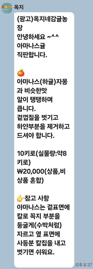 한라봉,황금향님의 작성글 사진