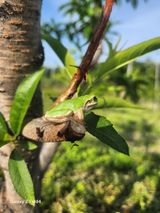 팜모닝 자유주제·자유게시판 게시글 이미지
