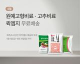 팜모닝 자유주제·자유게시판 게시글 이미지