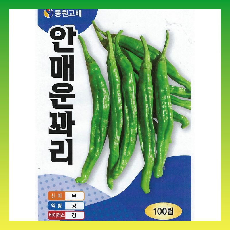 장터 상품 [안매운꽈리고추 1000립] 썸네일
