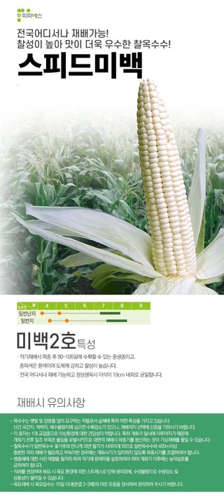 씨앗드림님의 작성글 사진