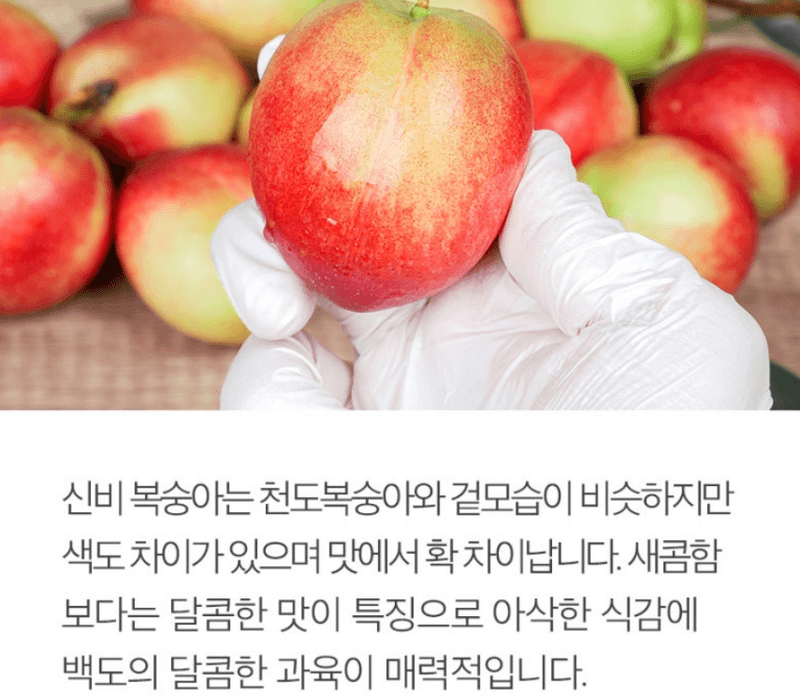 메종루엘님의 장터 판매 상품 [하우스 신비복숭아 ] 첨부 사진