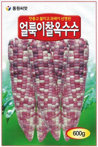 씨앗드림님의 작성글 사진