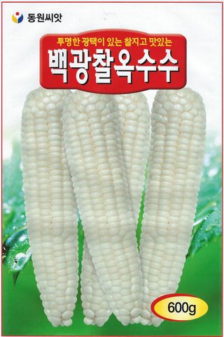 씨앗드림님의 작성글 사진