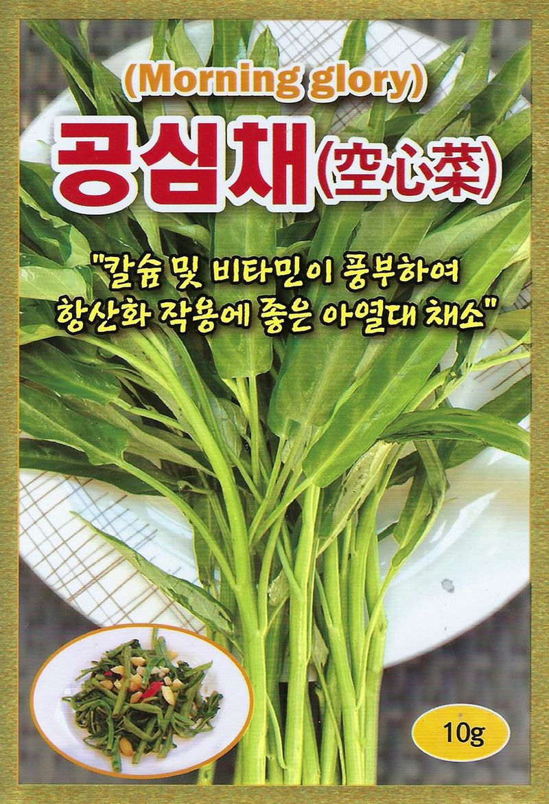 씨앗드림님의 장터 판매 상품 [공심채 모닝글로리 750g] 첨부 사진