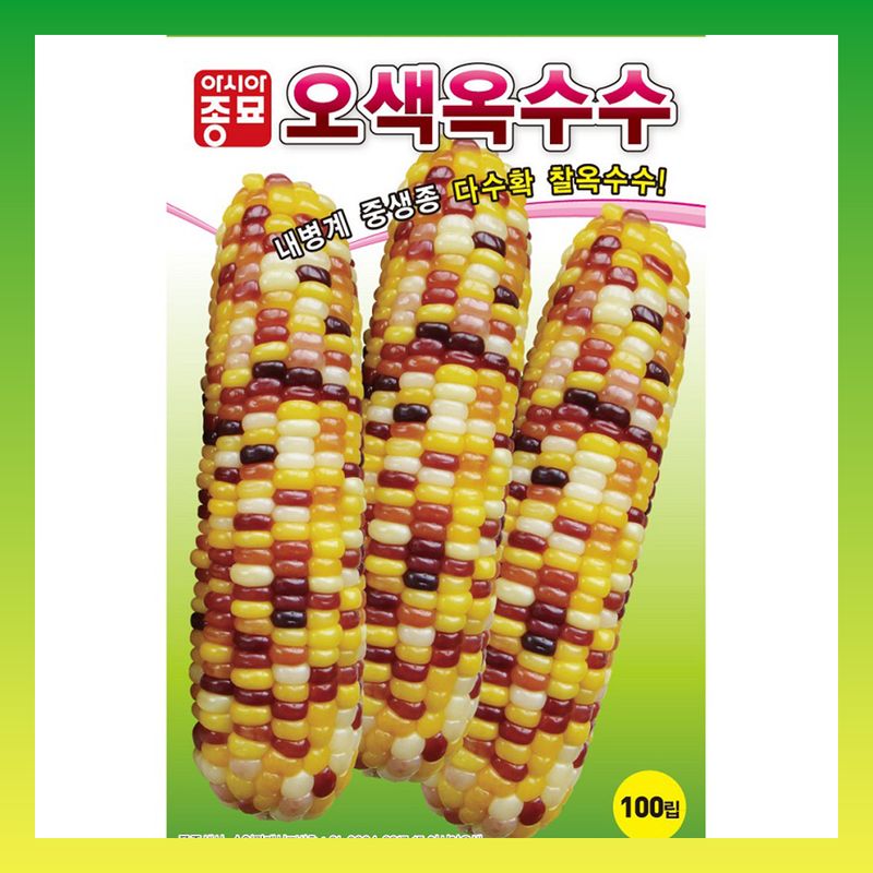 장터 상품 [오색옥수수 2000립] 썸네일