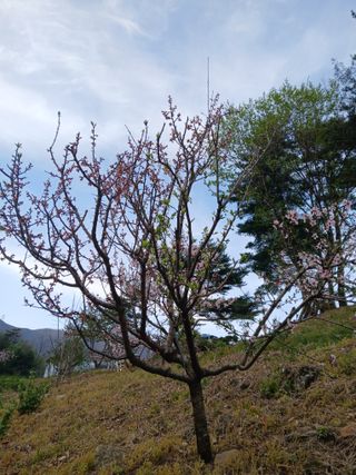 인생은 소풍처럼~님의 자유주제 · 자유게시판 작성글 사진