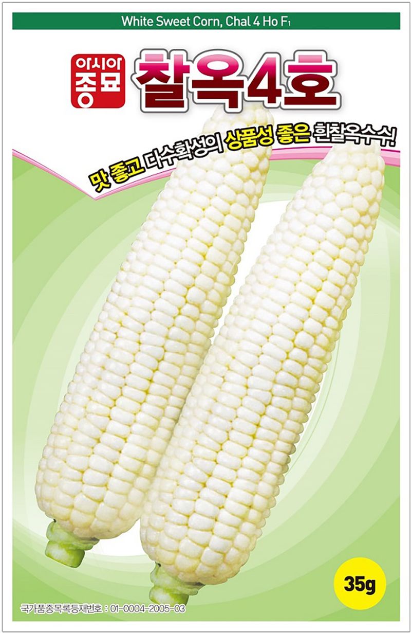씨앗드림님의 장터 판매 상품 [흰찰옥수수 700g] 첨부 사진