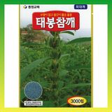 팜모닝 · 게시글 이미지
