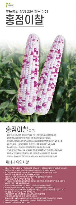 씨앗드림님의 작성글 사진