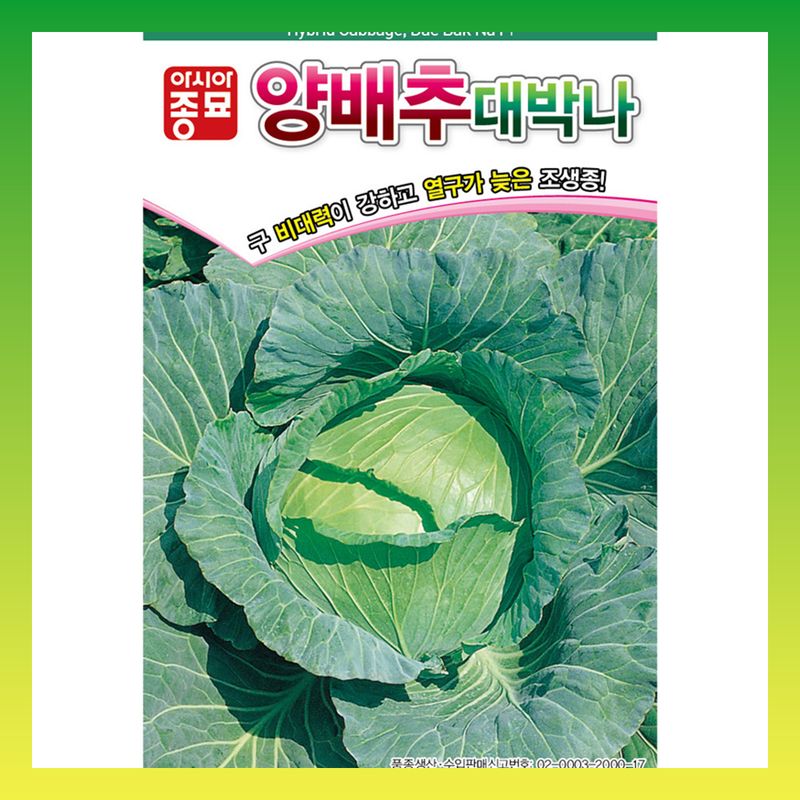 장터 상품 [대박나 양배추 2500립] 썸네일
