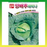 팜모닝 · 게시글 이미지